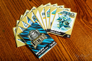 MK Lightning Hockey Cards